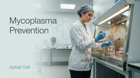 mycoplasma prevention